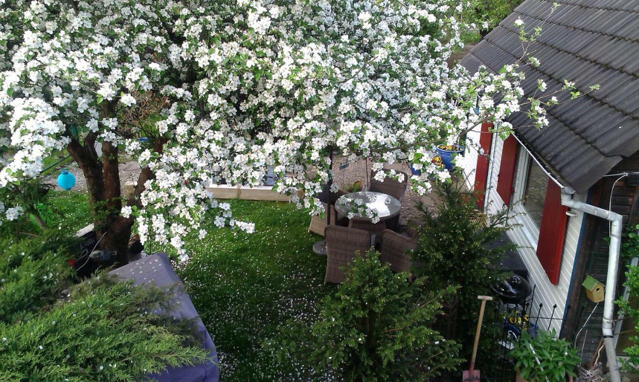 Das Kleine Ferienhaus เบอร์ลิน ภายนอก รูปภาพ